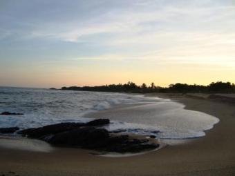Beach Front Coconut Landfor Sale Tangalle Beach