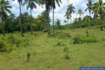 RESIDENTIAL OR COMMERCIAL LOT Brgy Maribi Tanauan Leyte