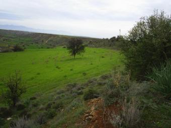 Plot of Land Nicosia
