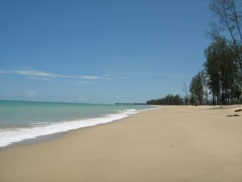 130 m. Beach front land for sale Phangnga