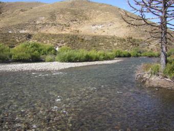 PATAGONIA 17 HA FOR FLY FISHING Junin De Los Andes