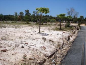 Road Side Plot Ko Lanta Yai