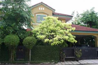 Resort Style House For Sale BKK Bangkok