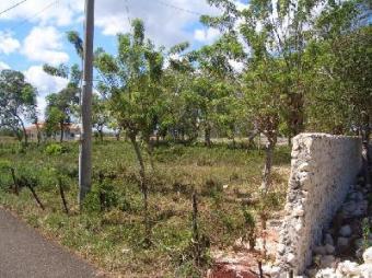 Beautiful building lot Cabarete