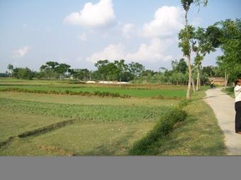 100 Acores Industrial Ponchagor Ponchagor