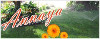 ANNYA 2-PLOT NEAR RAMA DAM Nagpur