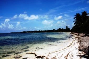 10 Acres Oceanfront on Turneffe Turneffe Atoll