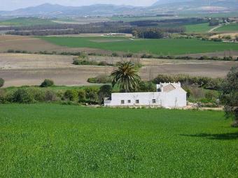 FINCA WITH OLD HOUSE Arcos De La Frontera