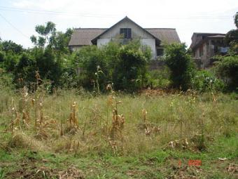 1/8 PLOT BAMBURI ESTATE Bamburi,mombasa
