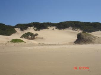 Holiday/Bachelor Flat Port Elizabeth