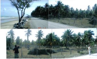 Beach Front Land for Sale HuaHin Prachuap Khirikhan