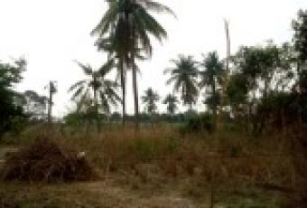 Land for sale Rongchang, Pamok, Angthong