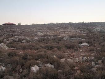 land in douir nabatieh for sale Beirut