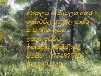 50 Perches of prime land in Colo Colombo