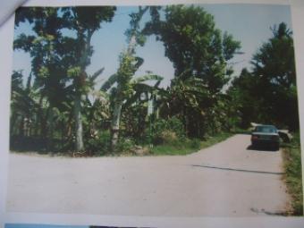GOOD LAND ESTAE Batangas