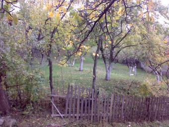 Land for SALE Pietrosita