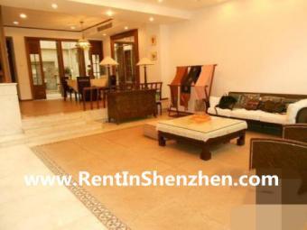 Shenzhen Apartment Rent/NanShan, Shenzhen