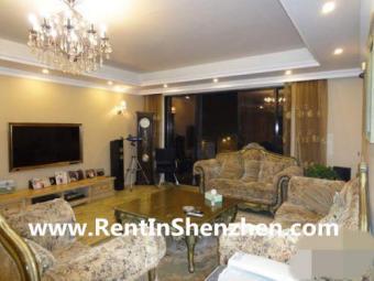 Shenzhen Apartment Rent/NanShan/ Shenzhen
