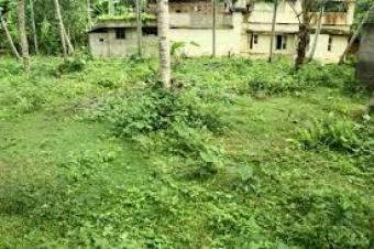 posh property for sale Thiruvananthapuram