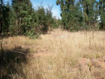 Vacant land, Belfast,Mpumalanga Belfast