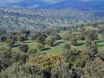 RENTAL IN NATIONAL PARK MONTFRAG Montfrague, Caceres