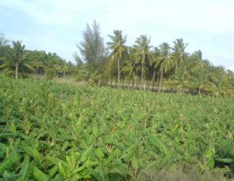 1.5 Hectares At Gudu Gudu