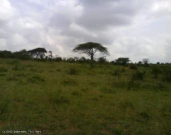 10 Acres in Konza Ranch Machakos