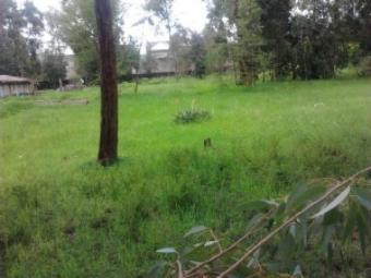 Prime Land in Lavington Nairobi