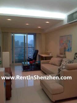 NanShan Apartment Rent/Western s Shenzhen