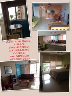BONITO APT. FOR SALE Isla Verde