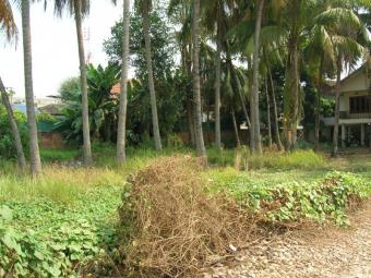Land on Mekong Riverbank 4 Sale Vientiane