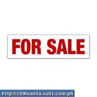 Commercial lot for sale near MOA Pasay City