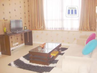 Sunrise City apartment for rent Hcmc