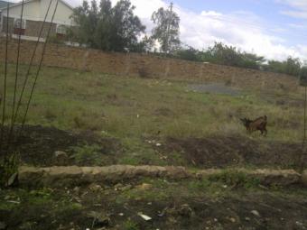 Plot for sale Nairobi