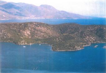 Farm area of ​​360 acres Peloponisos