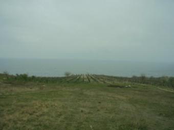 FIRST LINE REGULATED PLOT Byala