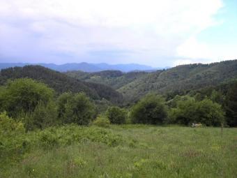 A plot of land near Pamporovo Pamporovo