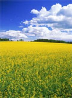 5000 kanals land for sale isb Islamabad