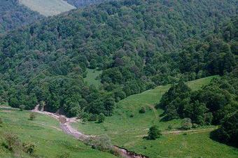 Land For Sale In Dilijan Dilijan