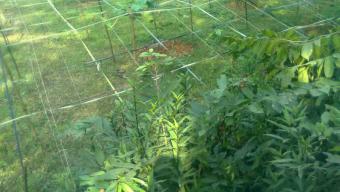 south east face land Saver