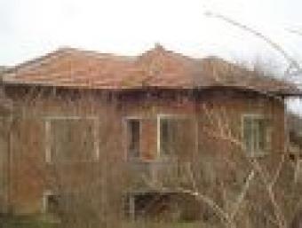 MASL0577 Polski Trumbesh