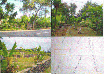 land for sale near lovina Singaraja
