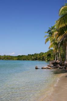 Important Lot for Sale Bocas Del Toro