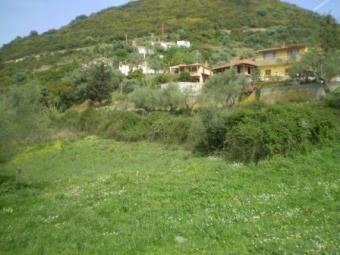 Land 6.641m2 in Nafpaktos Nafpaktos