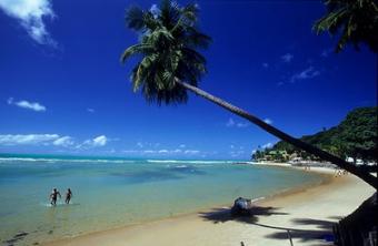 Great beach of Pipe / Brazil Natal   Pipe