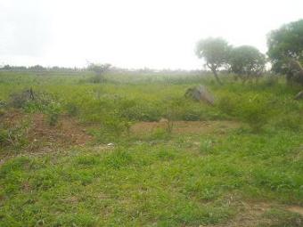 MonroeResidential Land Chaguanas