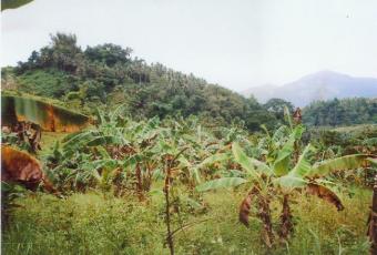 Farm land for sale Zamboanga