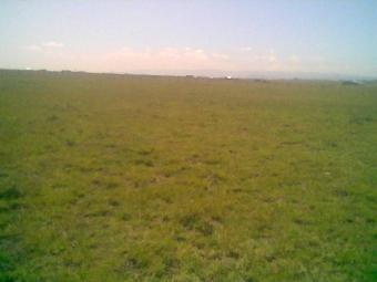 plots for sale-KANTAFU Nairobi
