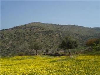 Land for sale Bodrum GOLF AREA Bodrum