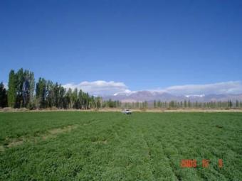 SOLD SPECTACULAR FIELD HAS EXCEL San Juan
